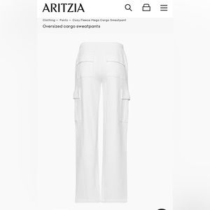 Aritzia Cargo Sweatpants
